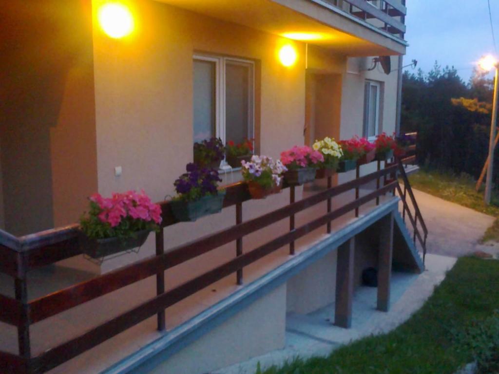 Apartments Varga Divčibare Exterior foto